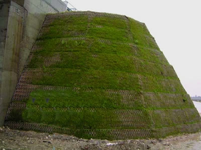 An artificial arch shaped slop made of green terramesh have small grass showed.