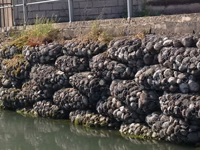 Gabion sacks are placed in front of the riverbank.