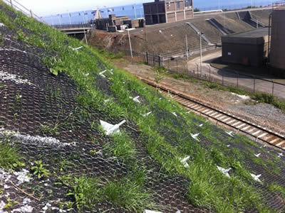 Plantings have grown up on partial area of the slope, hexagonal wire mesh shows, too.