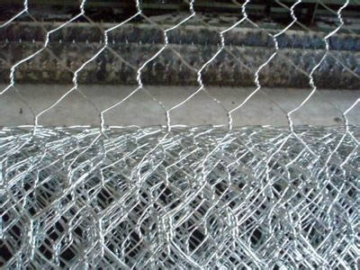 A roll of hexagonal wire mesh extends part of itself.