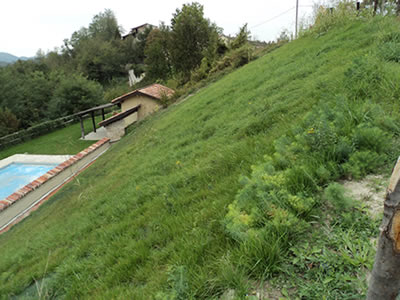 Under the steep vegetated slope is a swimming pool, besides the swimming pool is a house.