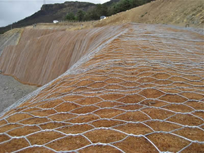 Hexagonal wire mesh is applied upon a coir fiber slope, slope vegetation construction is undergone.